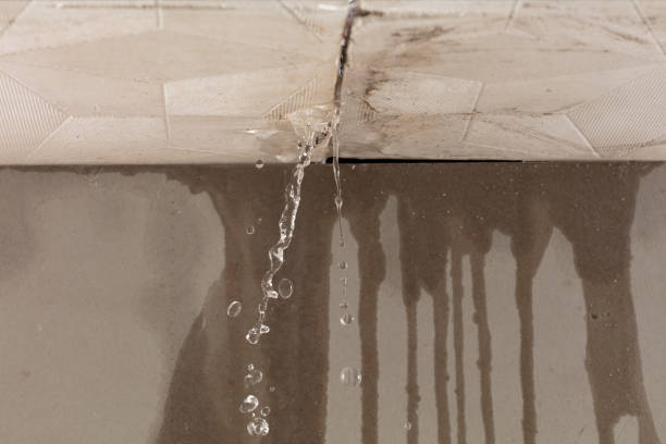 Professional Structural Drying technician working in Mico, TX